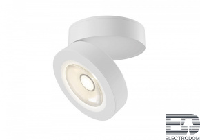 Потолочный светильник Maytoni Alivar C022CL-L12W - цена и фото