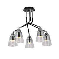 Sale Светильник потолочный EVOLUCE LIRINO SLE102902-05 - цена и фото