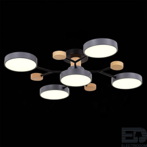 EVOLUCE SLE6006-702-05 Светильник потолочный Серый/Серый LED 5*12W 3000K/4500K/6000K - цена и фото