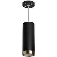 Lightstar Комплект со светильником Rullo RP487431 - цена и фото Lightstar Комплект со светильником Rullo RP487431 - цена и фото