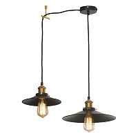 Подвесной светильник Lussole LOFT NEW YORK LSP-9601-2L - цена и фото