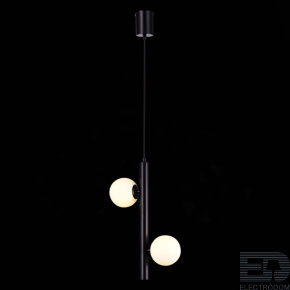 ST LUCE SL1185.403.02 Подвес ST-Luce Черный/Белый G9 2*5W - цена и фото