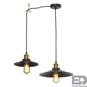 Подвесной светильник Lussole LOFT NEW YORK LSP-9601-2L - цена и фото