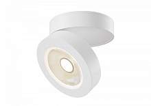 Потолочный светильник Maytoni Alivar C022CL-L7W - цена и фото