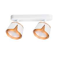 Спот Arte Lamp Amaks A8028PL-2WH - цена и фото Спот Arte Lamp Amaks A8028PL-2WH - цена и фото