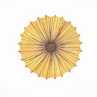 Светильник потолочный ST LUCE TESSILE SL351.072.05 - цена и фото