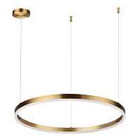 Подвесной светодиодный светильник Lumion Ledio Echo 6531/50L - цена и фото Подвесной светодиодный светильник Lumion Ledio Echo 6531/50L - цена и фото