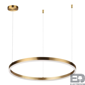 Подвесной светодиодный светильник Lumion Ledio Echo 6531/50L - цена и фото