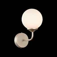 Светильник настенный ST-Luce Redjino SLE106201-01 - цена и фото Светильник настенный ST-Luce Redjino SLE106201-01 - цена и фото