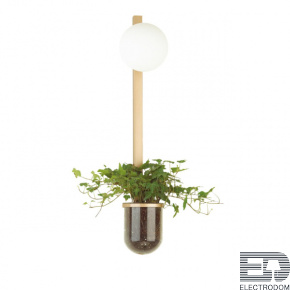Настенный светильник Odeon Light Walli 4682/1WB - цена и фото