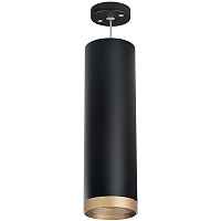 Lightstar Комплект со светильником Rullo RP649790 - цена и фото Lightstar Комплект со светильником Rullo RP649790 - цена и фото