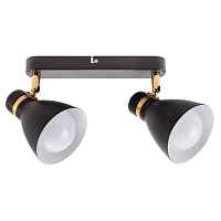 Спот Arte Lamp Fafnir A5047PL-2BK - цена и фото Спот Arte Lamp Fafnir A5047PL-2BK - цена и фото
