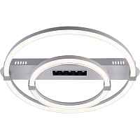 Потолочный светодиодный светильник Escada Aspect 10253/2LED - цена и фото Потолочный светодиодный светильник Escada Aspect 10253/2LED - цена и фото