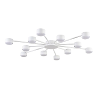 Люстра Lumion COMFI 8343/12C - цена и фото