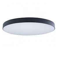 Потолочный светильник Loft IT Axel 10002/48 Black - цена и фото