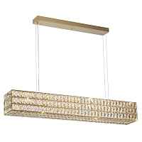 Подвесной светодиодный светильник Odeon Light PANTA 4926/48L - цена и фото