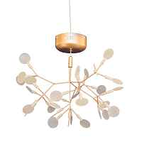 Подвесной светильник L'arte Luce Heracleum L46100