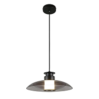 Подвесной светодиодный светильник Aployt Stefa APL.648.06.10 - цена и фото