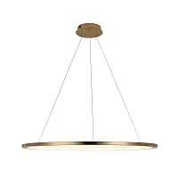 Подвесной светильник Loft IT Ring 10014XL - цена и фото Подвесной светильник Loft IT Ring 10014XL - цена и фото