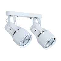 Спот Lyra A6252PL-2WH