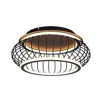 Потолочный светодиодный светильник F-Promo Korg 4435-2C - цена и фото Потолочный светодиодный светильник F-Promo Korg 4435-2C - цена и фото