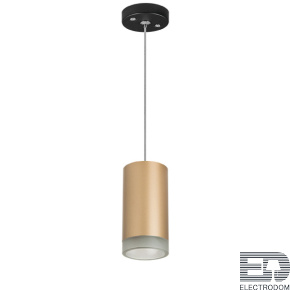 Lightstar Комплект со светильником Rullo RP44030 - цена и фото