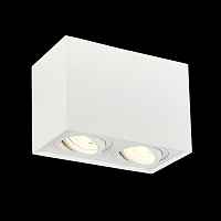 Потолочный светильник ST-Luce Quadrus ST109.507.02 - цена и фото