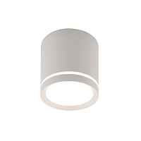Накладной светильник Denkirs DK401 DK4013-WH - цена и фото Накладной светильник Denkirs DK401 DK4013-WH - цена и фото