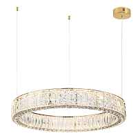 Подвесная светодиодная люстра Odeon Light VERSION 5071/100L - цена и фото