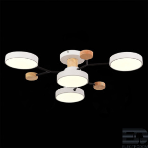 EVOLUCE SLE6006-502-04 Светильник потолочный Белый/Белый LED 4*12W 3000K/4500K/6000K - цена и фото