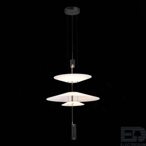 ST LUCE SL6101.413.01 Люстра подвесная ST-Luce Черный/Белый LED 1*15W 3000K - цена и фото