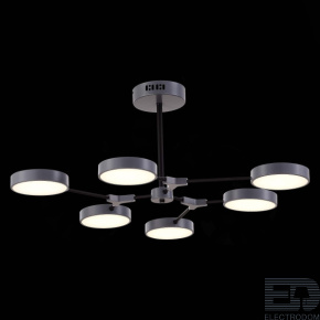 EVOLUCE SLE6003-702-06 Светильник потолочный Серый, Черный/Серый LED 6*10W - цена и фото
