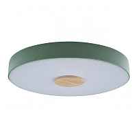 Потолочный светильник Loft IT Axel 10003/24 Green - цена и фото