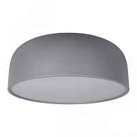 Потолочный светильник Axel 10201/480 Grey - цена и фото Потолочный светильник Axel 10201/480 Grey - цена и фото