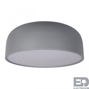 Потолочный светильник Axel 10201/480 Grey - цена и фото