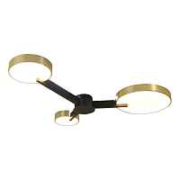 Потолочная светодиодная люстра Escada Expert 10209/3LED - цена и фото Потолочная светодиодная люстра Escada Expert 10209/3LED - цена и фото