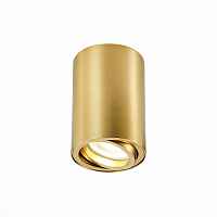 Светильник потолочный ST LUCE ST108 ST108.207.01 - цена и фото Светильник потолочный ST LUCE ST108 ST108.207.01 - цена и фото