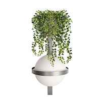 Настенный светильник LOFT IT Jardin 10121W/B Dark grey - цена и фото