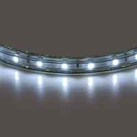 Лента белого свечения Lightstar 402004 - цена и фото Лента белого свечения Lightstar 402004 - цена и фото