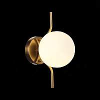 Светильник настенный ST LUCE FORCIO SL1126.201.01 - цена и фото