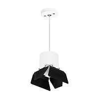 Lightstar Комплект со светильником Rullo RP3486487 - цена и фото Lightstar Комплект со светильником Rullo RP3486487 - цена и фото