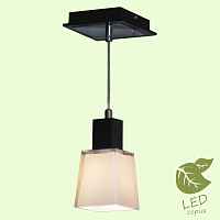 Подвесной светильник Lussole Lente GRLSC-2506-01 - цена и фото Подвесной светильник Lussole Lente GRLSC-2506-01 - цена и фото