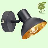 Спот Lussole Louisville GRLSP-9973 - цена и фото Спот Lussole Louisville GRLSP-9973 - цена и фото