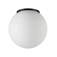 Потолочный светильник Odeon Light NATURE 7124/1C - цена и фото