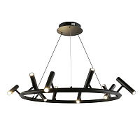 Подвесная светодиодная люстра Aployt Honor APL.067.03.50 - цена и фото