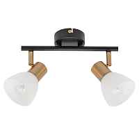 Светильник спот Arte Lamp Falena A3117PL-2BK - цена и фото Светильник спот Arte Lamp Falena A3117PL-2BK - цена и фото