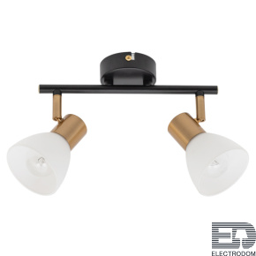 Светильник спот Arte Lamp Falena A3117PL-2BK - цена и фото