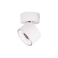 Спот Loft IT Focus 10323/A White - цена и фото Спот Loft IT Focus 10323/A White - цена и фото