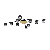 Светильник потолочный Lumion BENUA 8304/10C - цена и фото