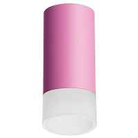 Lightstar Комплект со светильником Rullo R43231 - цена и фото Lightstar Комплект со светильником Rullo R43231 - цена и фото